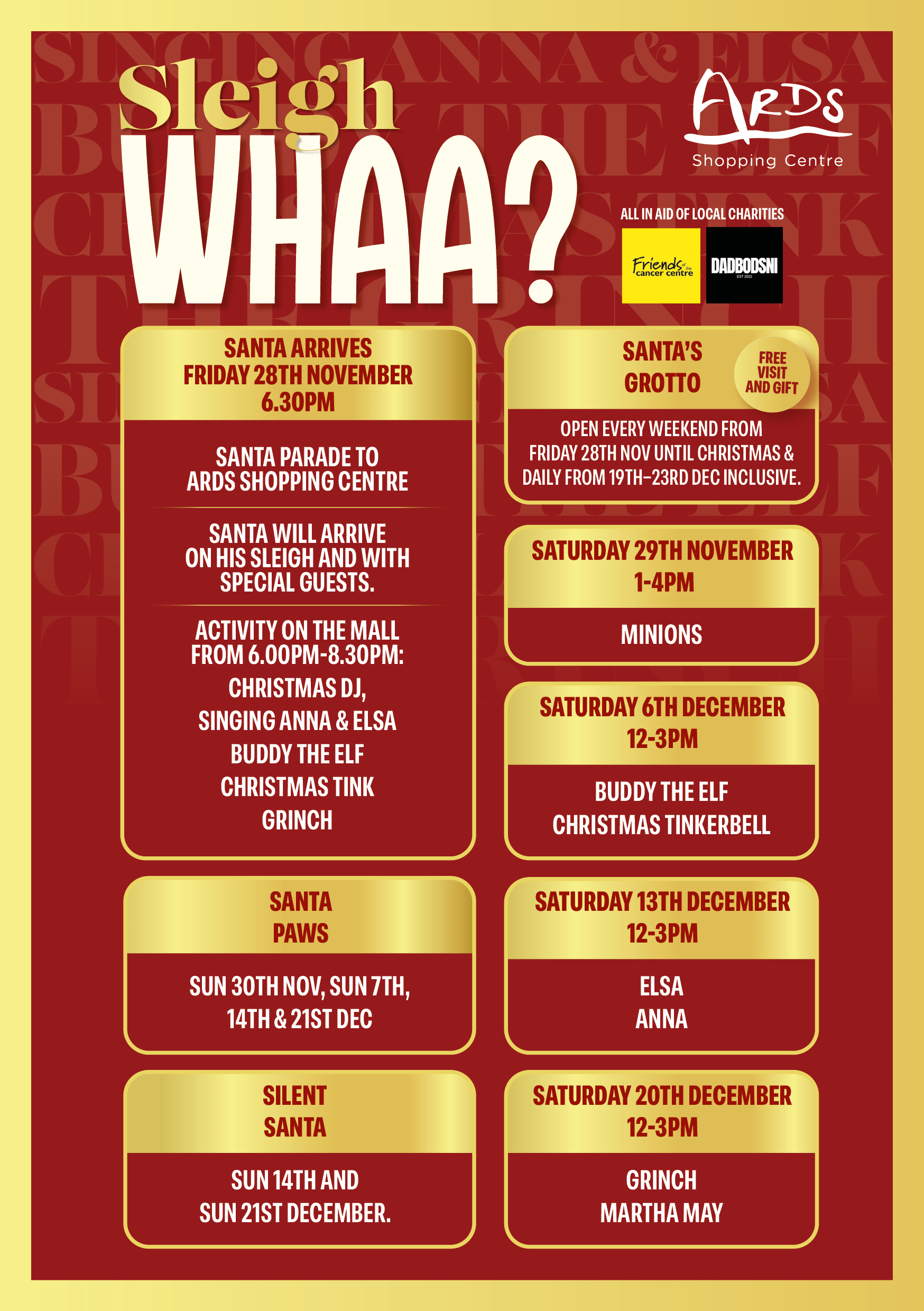 Festive Fun at Ards!